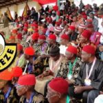 Ohanaeze: Activist advocates postponement of election