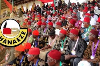 Ohanaeze: Activist advocates postponement of election